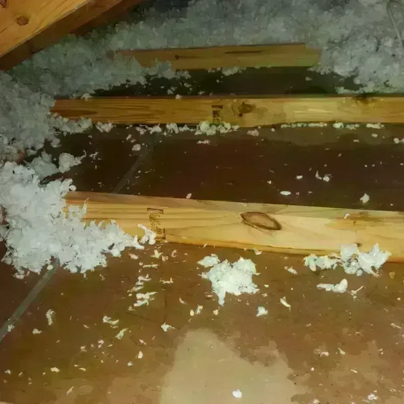 Attic Water Damage in Grabill, IN