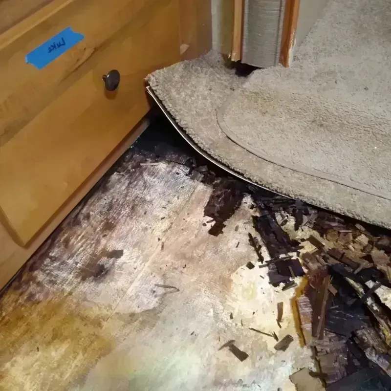 Best Wood Floor Water Damage Service in Grabill, IN